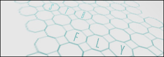 Fly
