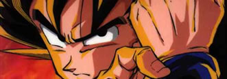 Saiyan Fury