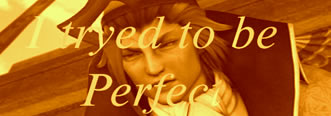 Tryed to be Perfect