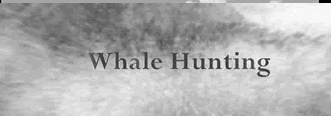 Whale Hunting